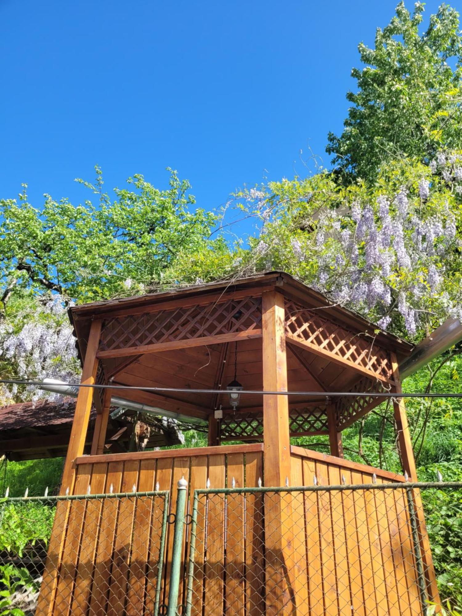 Casa Kiss Villa Sovata Ngoại thất bức ảnh